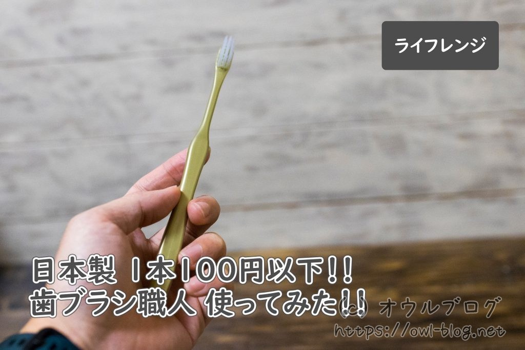 日本製で1本100円以下の磨きやすい歯ブラシ使ってみた！