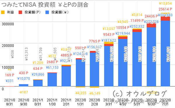 積立NISA12ヶ月目にポイントを投資した割合