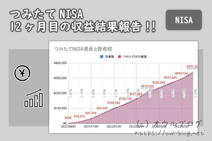 つみたてNISA 12ヶ月目の結果